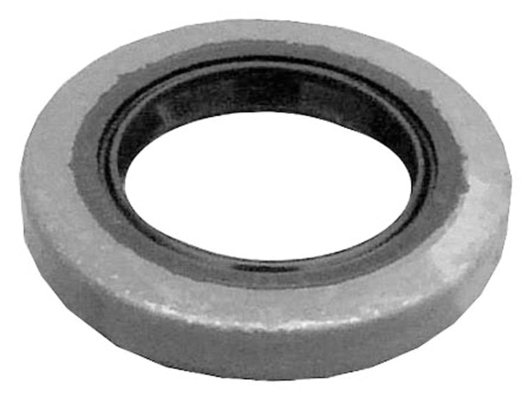Oil Seal Standard